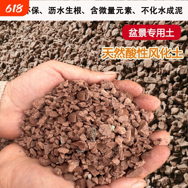 天然风化石风化土颗粒盆景专用土生根酸性红土颗粒金弹子土黄杨土