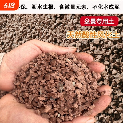 天然风化石风化土颗粒盆景专用土生根酸性红土颗粒金弹子土黄杨土