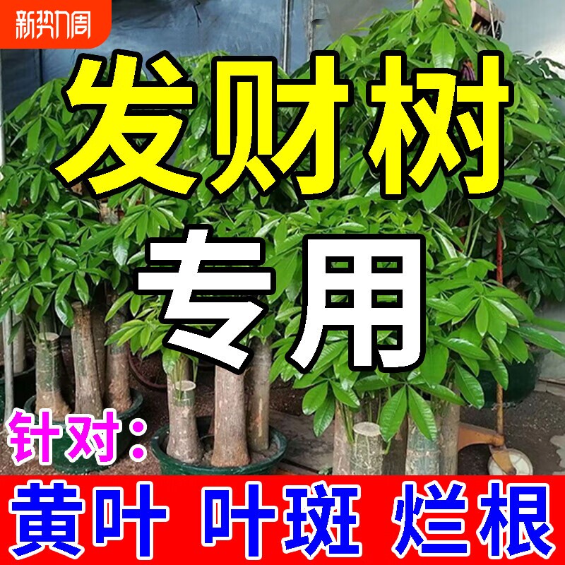 发财树专用肥营养液植物再生黄叶烂根盆栽花剂复合肥料通用型开花