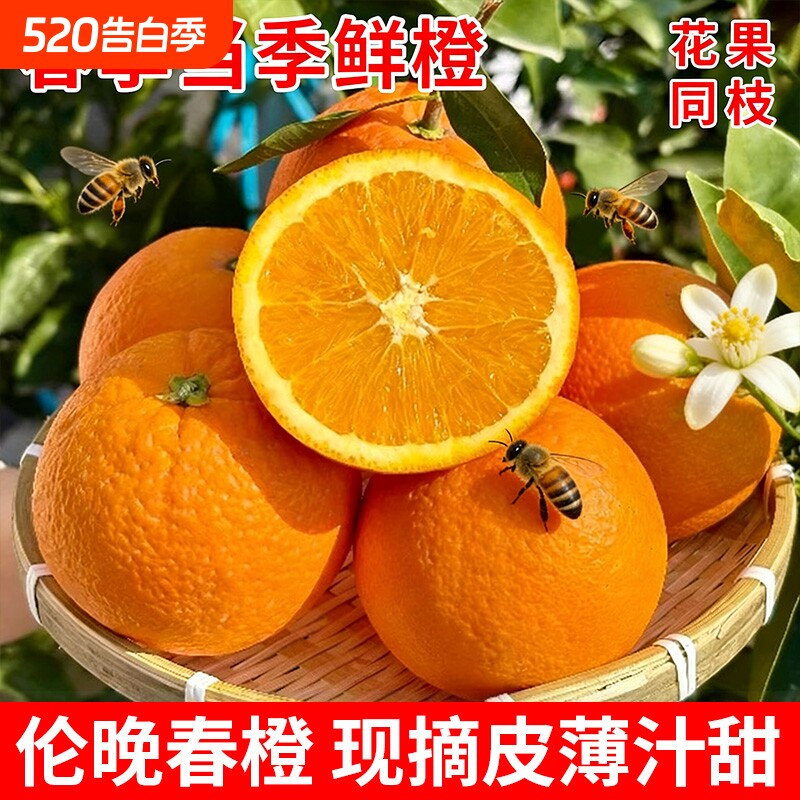 正宗秭归伦晚春橙新鲜当季水果湖北时令纽荷尔包邮整箱甜橙子自提