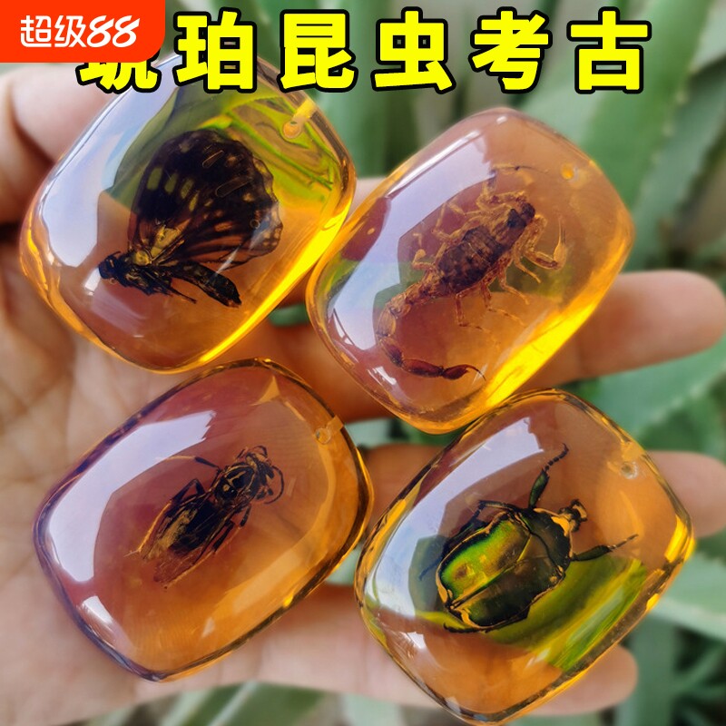 宝石考古挖掘玩具男女孩益智琥珀昆虫标本儿童挖宝藏石膏寻宝盲盒图片