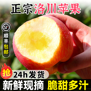 顺丰 新鲜水果时令脆甜一级果整箱 正宗陕西洛川苹果红富士应当季