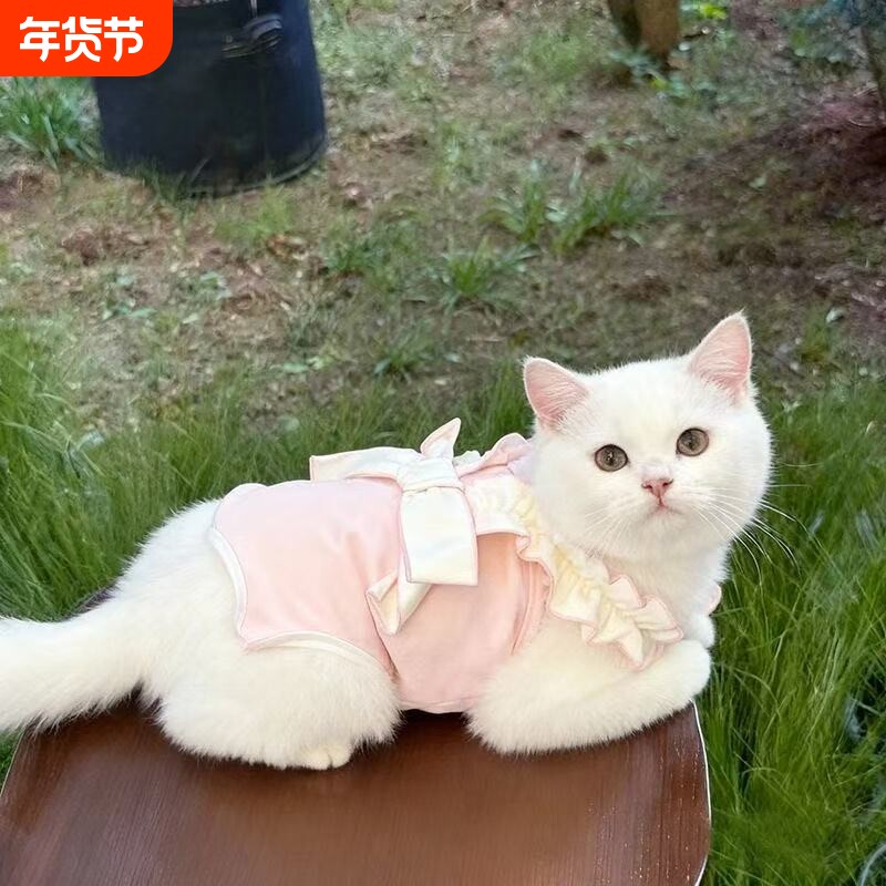 宠物秋季小狗狗护肚衣小型犬幼犬猫咪泰迪四脚衣服绝育服薄款可爱