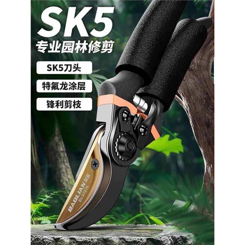 剪枝剪刀省力园林花艺剪多功能果树修剪专用粗大枝剪园艺工具图片