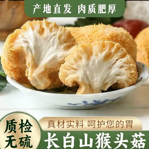 猴头菇