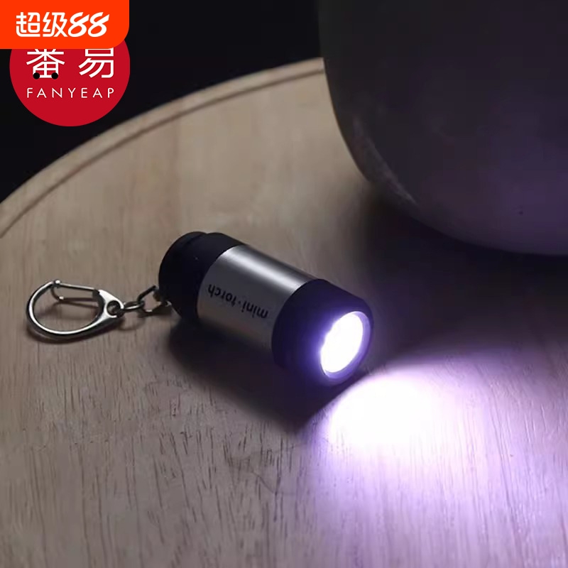 钥匙扣灯AA1SQ魉0HW-小型便携小
