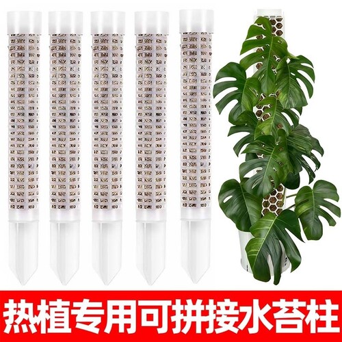 水苔柱可拼接爬藤植物攀附柱绿绒攀爬柱固定支架