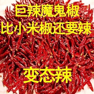 干辣椒魔鬼辣椒巨辣特辣变态辣印度辣椒段商用小米辣微辣特香香辣