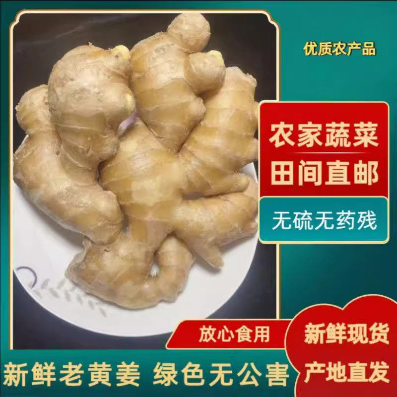 农家精选特产小黄姜新鲜辛辣味浓的老姜生姜大块姜月子姜,水产肉类/新鲜蔬果/熟食,生姜/南姜,淘宝优惠券,粉丝福利购,淘宝优惠卷