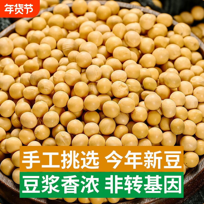 新货东北黄豆 新鲜大豆可发芽大豆子非转基因打豆浆原料营养早餐