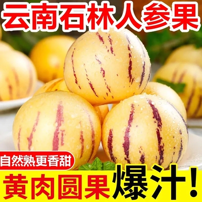 云南石林人参果熟果圆果黄心黄肉当季应季新鲜水果整箱包邮果子