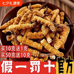 冬虫夏草2026西藏那曲头期大断草干货正宗官方旗舰店正品营养滋补