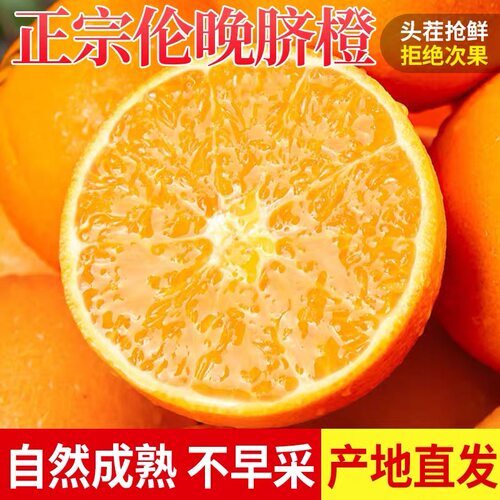 正宗伦晚脐橙春橙秭归橙子当季新鲜水果整箱手剥果冻甜榨汁大果