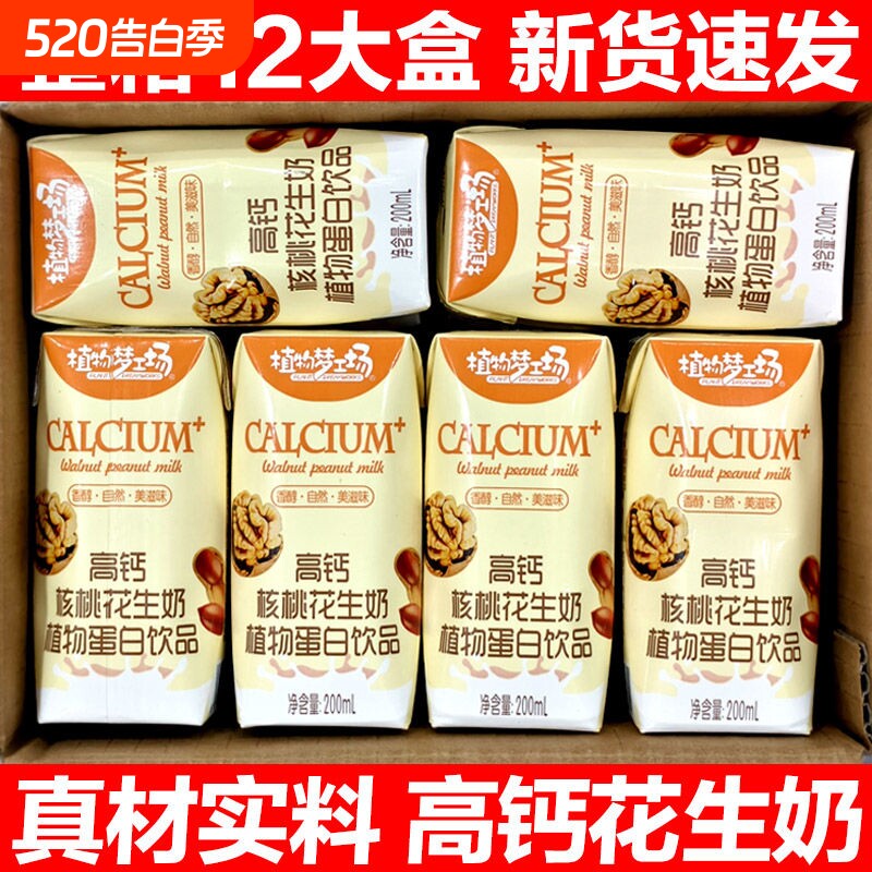 高钙核桃花生奶早餐植物蛋白饮品学生宿舍中老年风味饮料整箱批发