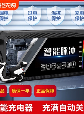 电动车充电器电瓶48v12ah60v20a72v适用于爱玛雅迪三轮铅酸石墨烯