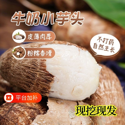 山东新鲜毛芋头芋仔粉糯小牛奶芋头山东芋艿香芋软糯芋仔奶香芋头