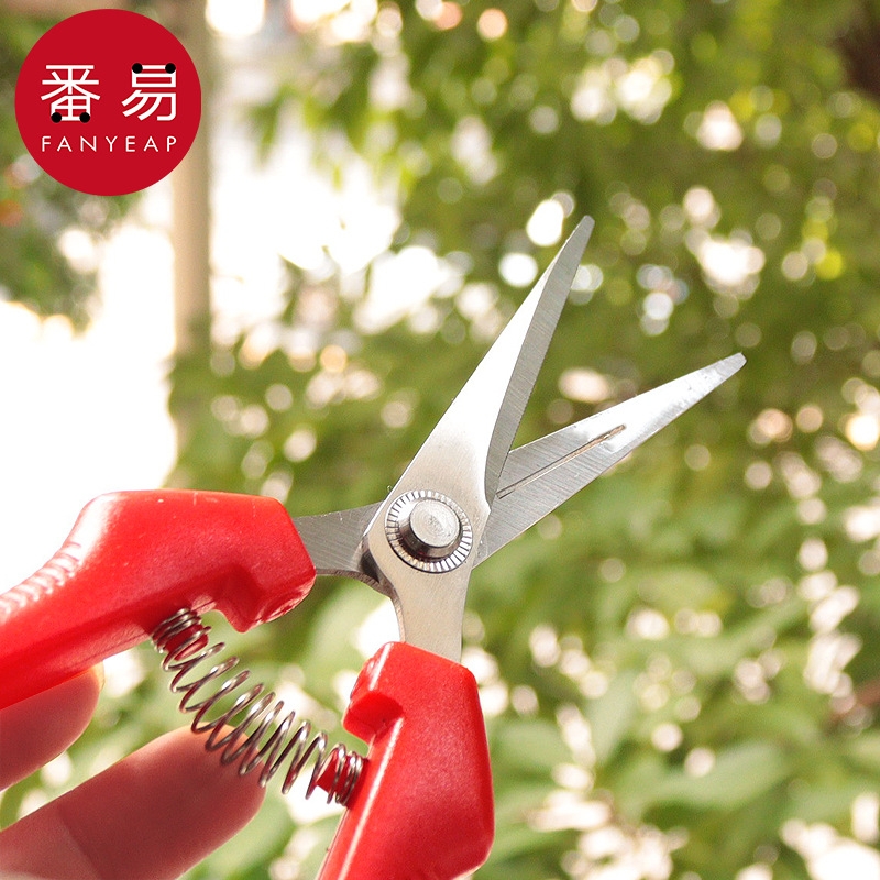 采果剪A1pq0-修枝剪园艺剪水果蔬菜剪刀桔子采摘剪刀摘果剪刀