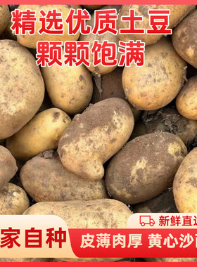 希森6号黄心洋芋土豆商用炸薯片炸土豆饼当季新鲜烧烤自种好吃