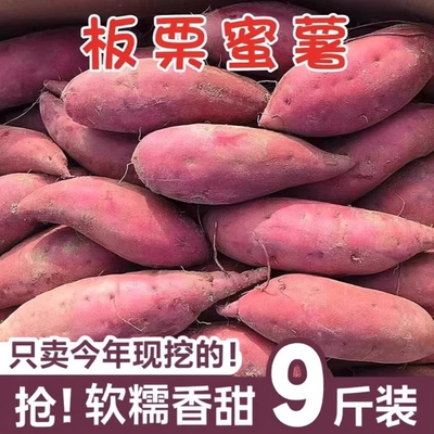 正宗沙地蜜薯红薯软糯香甜板栗农家自种现挖新鲜番薯地瓜黄心番薯