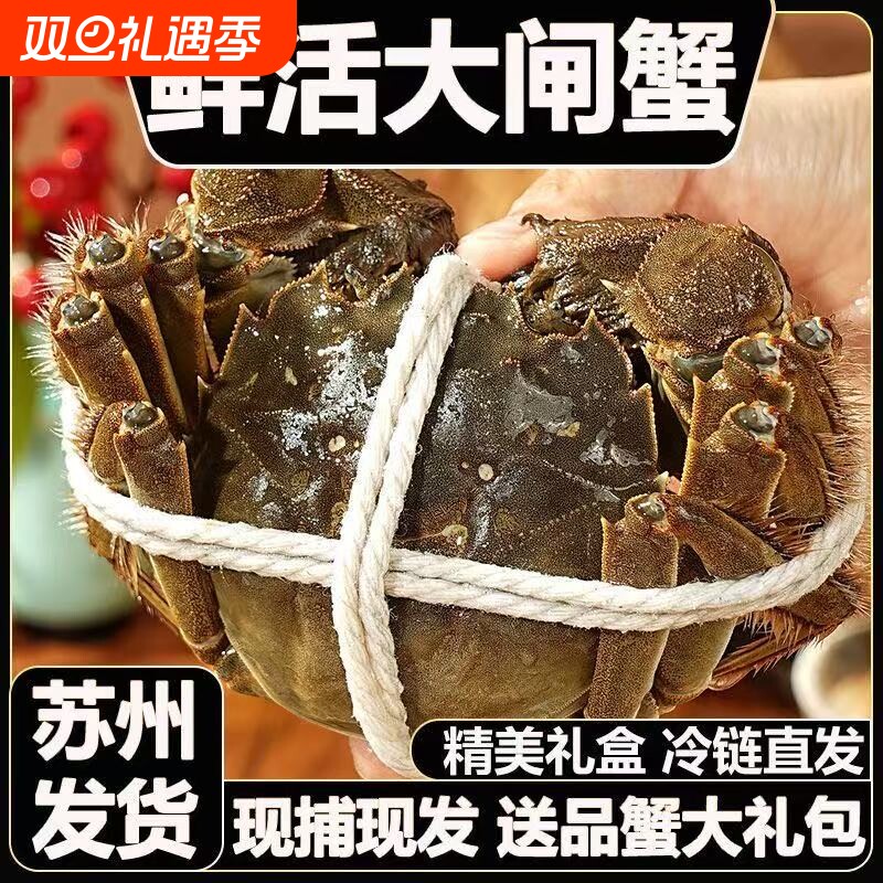 现货鲜活大闸蟹公母螃蟹生鲜河蟹海鲜水产礼盒装6/12含绳苏州发货