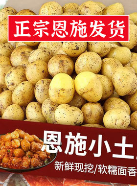 2026年新货恩施小土豆新鲜马铃薯农家自种洋芋当季蔬菜多规格