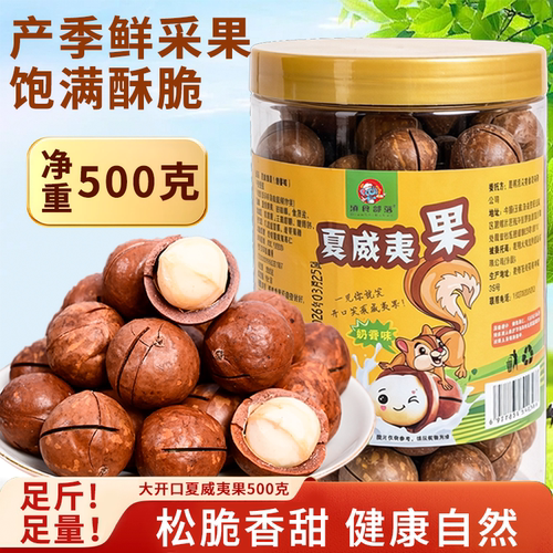 云南夏威夷果袋装500g罐