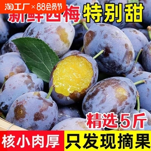 正宗酸甜西梅5斤整箱包邮当季应季西梅李子现摘现发新鲜孕妇水果