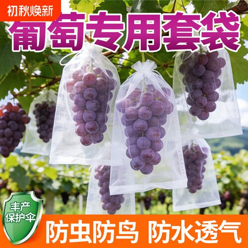 葡萄专用水果套袋防虫防鸟