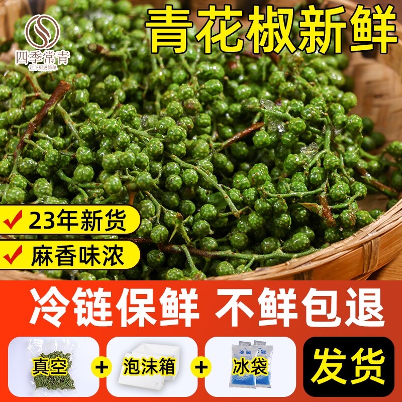 藤椒新鲜青花椒四川特产350g真空保鲜新花椒生麻椒鲜青藤椒鲜花椒