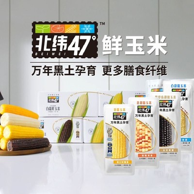 北纬47°鲜甜糯玉米系列200g*6/10穗（箱）低脂轻食健身早餐代餐