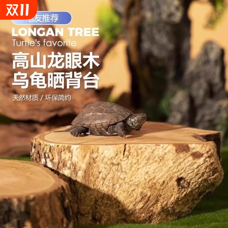 高山龙眼木乌龟晒台龟缸造景摆件天然沉木爬台爬坡休息台防腐皮