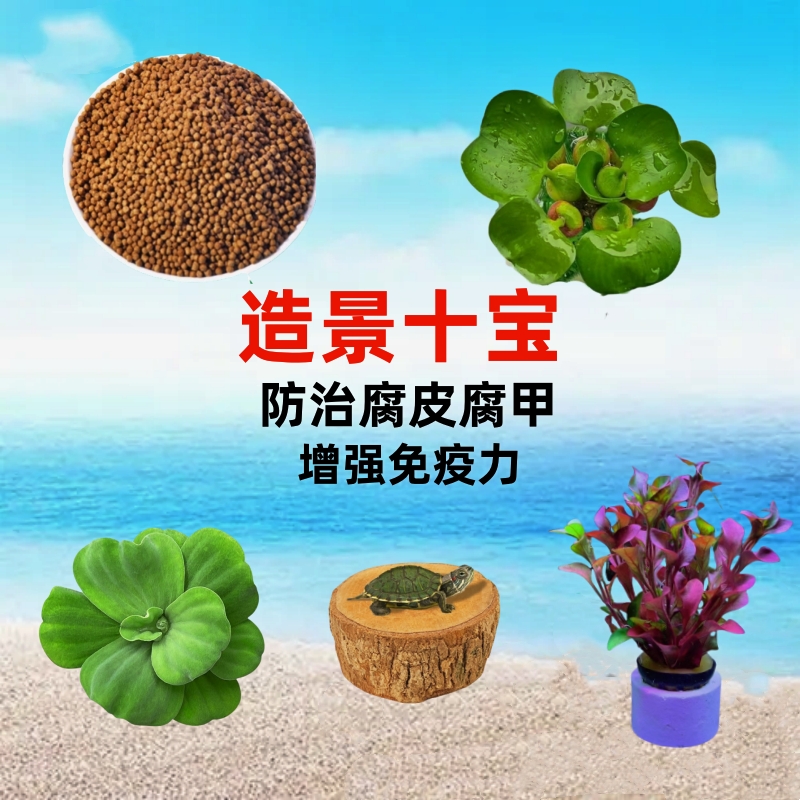 乌龟缸造景套餐养龟专用绿植浮萍真水草龙眼木晒台防腐甲净化水质