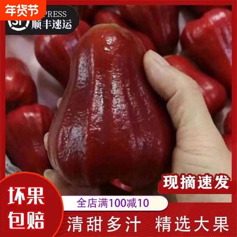 顺丰 泰国进口黑金刚5斤莲雾新鲜水果应季莲雾果批发包邮当季莲雾,水产肉类/新鲜蔬果/熟食,莲雾,淘宝优惠券,粉丝福利购,淘宝优惠卷