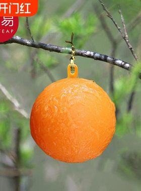 粘虫球/诱蝇B1pf0-果蝇诱捕器小飞虫球灭杀诱苍蝇厨房室内诱虫