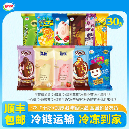 伊利十一种口味雪糕组合