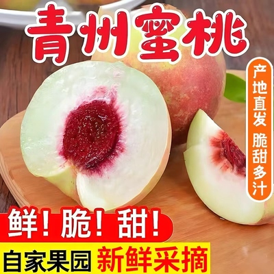 正宗山东青州蜜桃离核桃冬雪蜜桃当季新鲜现摘脆桃小毛桃新鲜水果