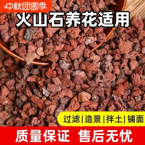 盆栽兰花专用铺面拌土火山石