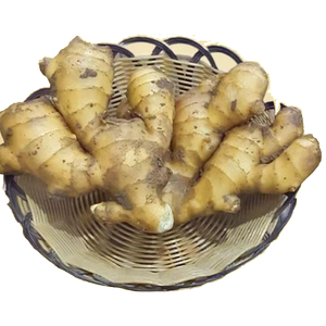 生姜老姜大姜带泥无硫姜大黄姜月子姜土姜一级食用