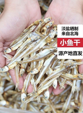 新晒开海新货公干鱼小鱼干淡干海燕鱼海鲜干货银鱼干海味水产原味