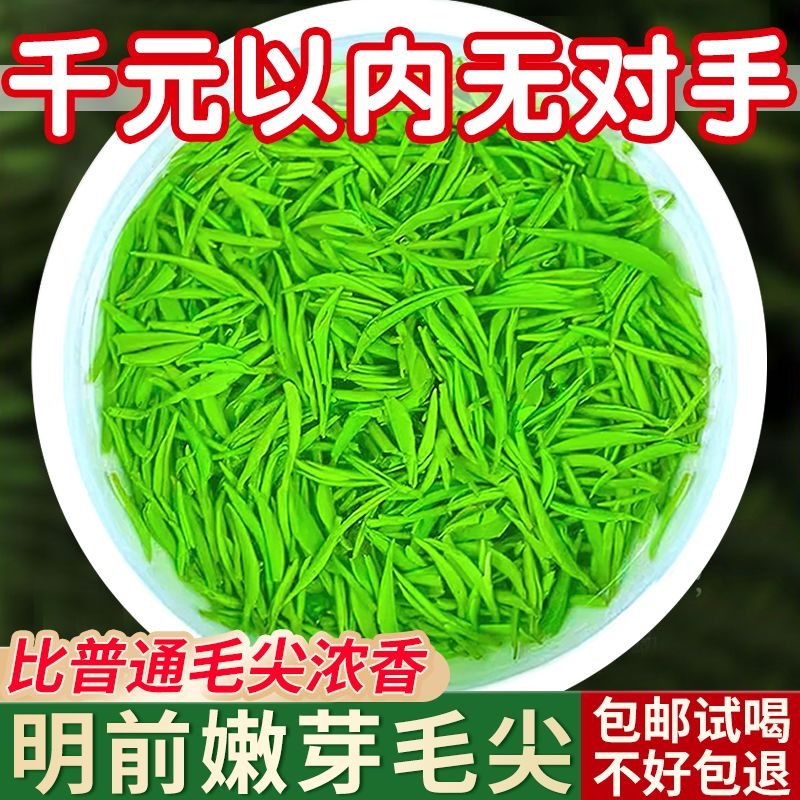 2025新茶正宗信阳嫩芽毛尖明前特级高山手工浓香型绿茶叶高档炒青