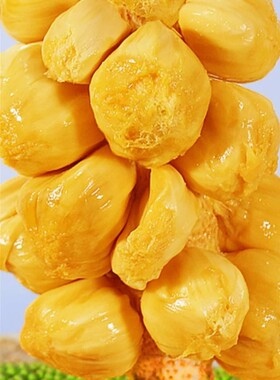 海南榴莲蜜一整个新鲜果干苞三亚保亭包邮特产批发菠萝软糯香甜