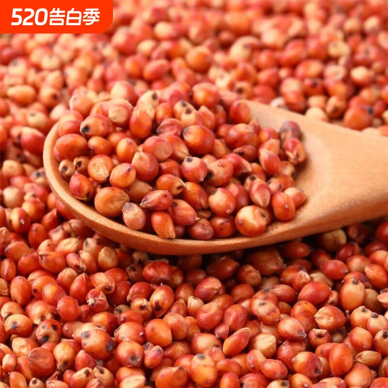红高粱喂鸽子粮食去壳带皮鸟食信鸽观赏鸽肉鸽幼鸽成鸽粮饲料