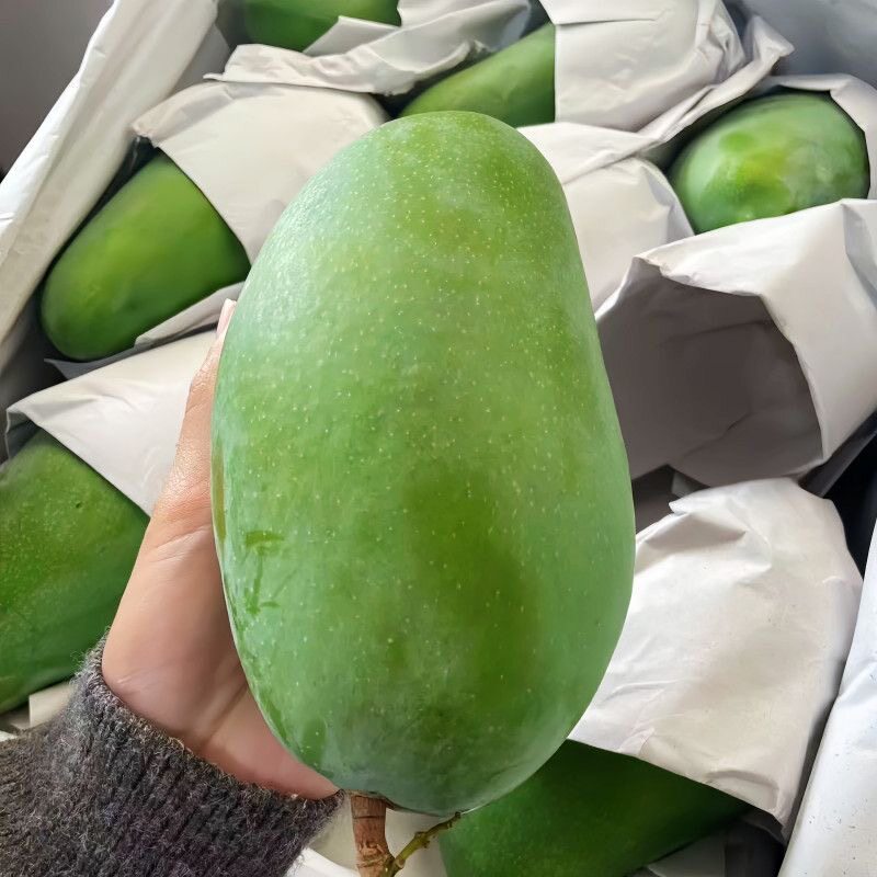 大青芒云南青皮芒果8斤新鲜当应季大青皮金煌甜心芒水仙水果整箱