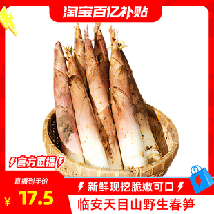 包邮 临安春笋雷笋新鲜现挖顺丰 淘宝百补官方直播