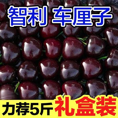 新鲜采摘智利车厘子包邮2斤当季脆甜孕妇樱桃现货水果进口3J4J