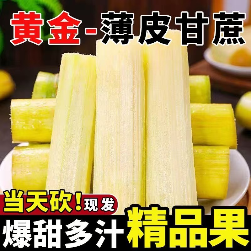 现挖新鲜黄金甘蔗黄皮甘蔗爆甜多汁精选中段汁水充沛好吃甘蔗水果