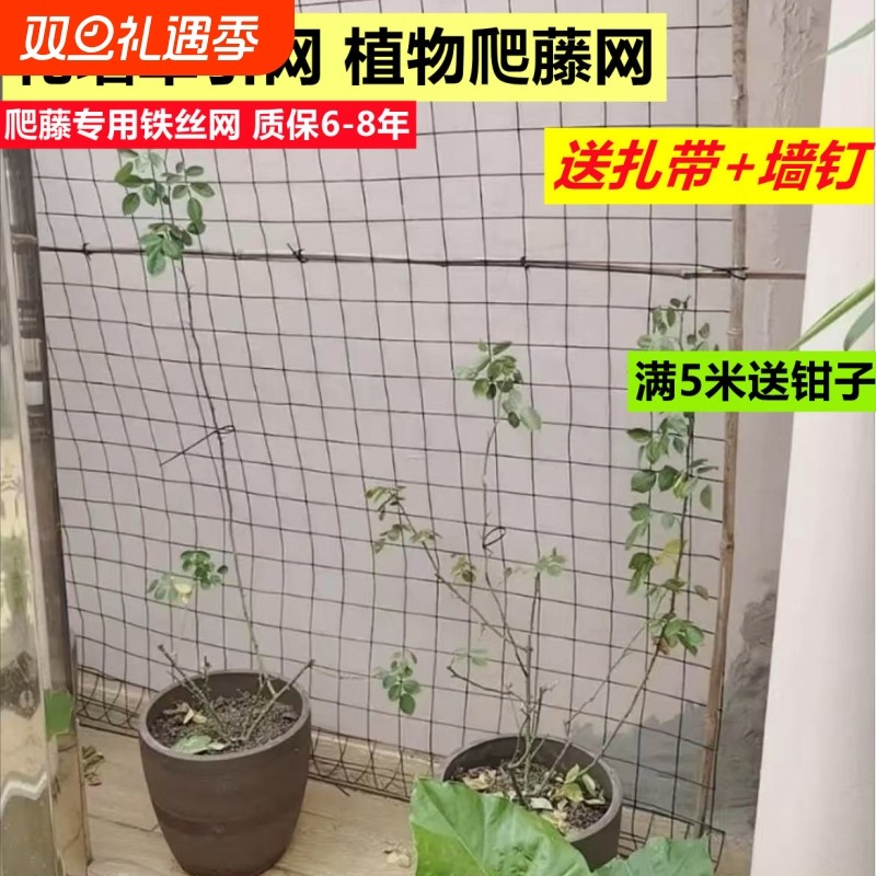 植物爬藤铁丝网花墙上墙牵引网