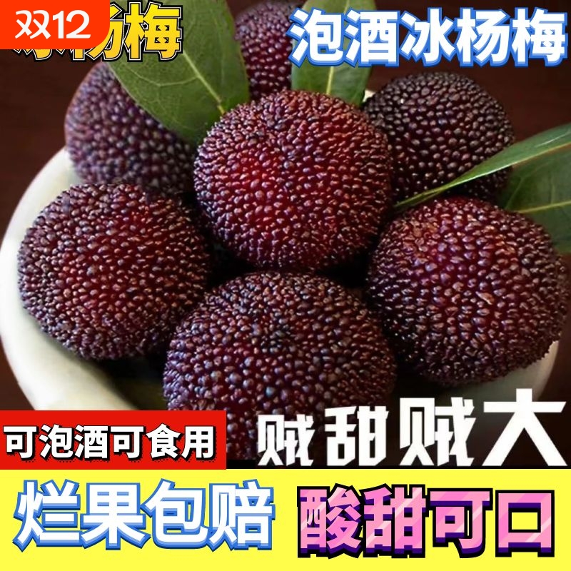 新鲜冰杨梅冷冻包邮杨梅冰冻非仙居泡酒一整箱冷链冰鲜食用便宜