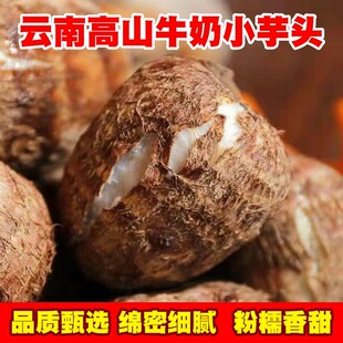 云南牛奶芋头毛芋头奶新鲜现挖先发小香芋软糯香甜奶白色细腻多肉