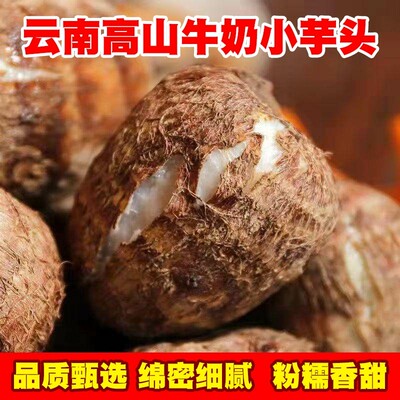 云南牛奶芋头毛芋头奶新鲜现挖先发小香芋软糯香甜奶白色细腻多肉